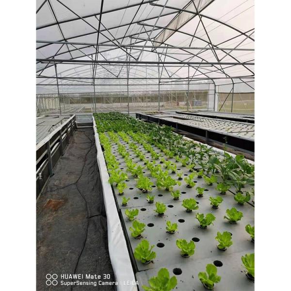 200-микронная однопролетная теплица для сельского хозяйства, тропический климат