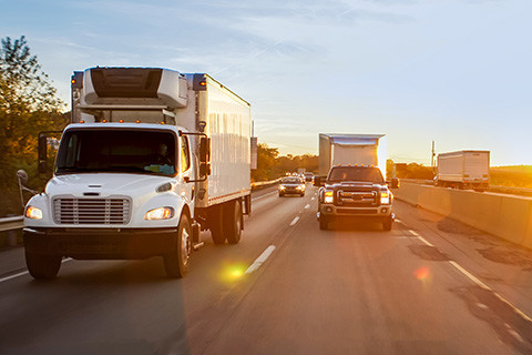 Cold Chain Management