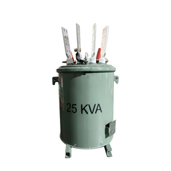 Submersible Transformers  Underground Vault Installation 25 Kva 13.8KV To 120V 304 SS Oil-Immersed Distribution Transformer