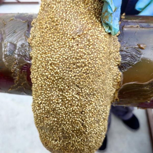 AWWA C 217 Standard Dark Brown Petrolatum Mastic for Corrosion Protection