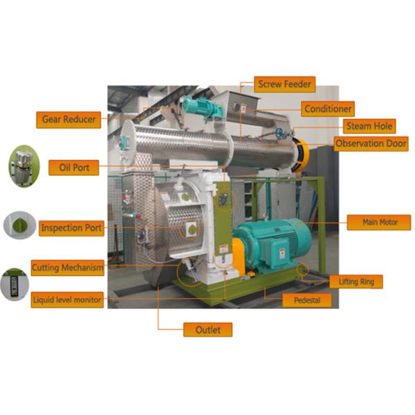 Pig And Cow Animal Feed Making Machine , Full Automatic Pet Food Manufacturing Equipment