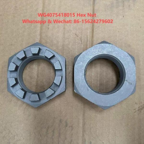 Шестерковый орех WG4075418015 HOWO Части грузовиков Застегивающий орех T5G/C7H