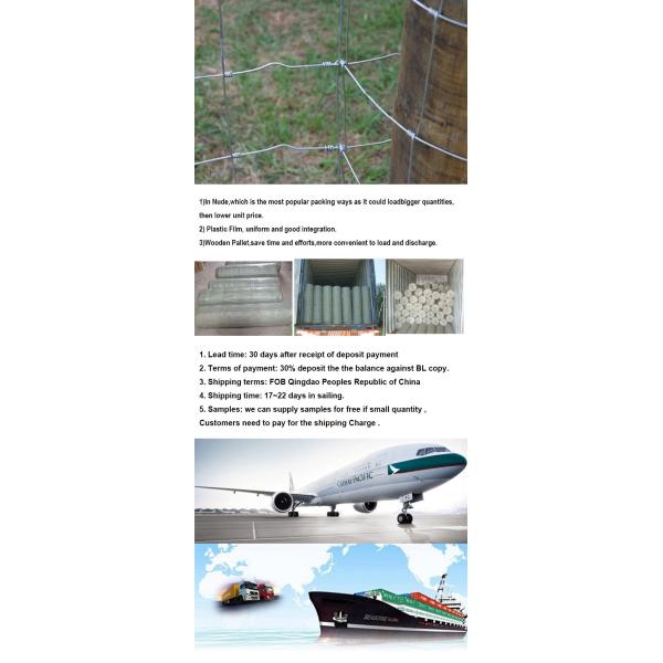 Corrosion Resistant 3ft Tall Wire Cattle Fencing For Farm