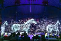 3D Holo Gauze Holographic Mesh Screen 9m Width Project Convincing Illusions