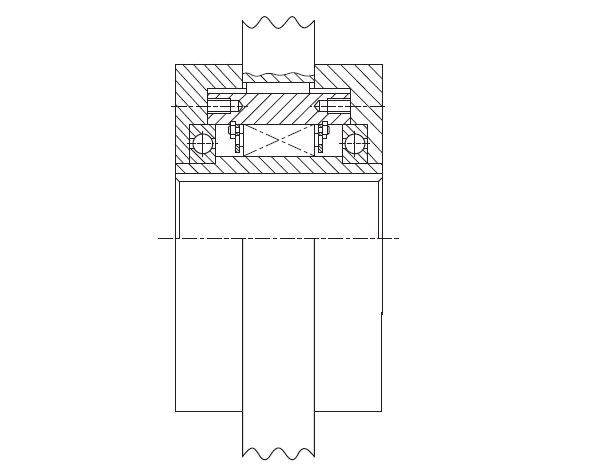 Sprag Overload Clutch and for Mounting Example Outer Diameter 100-310mm