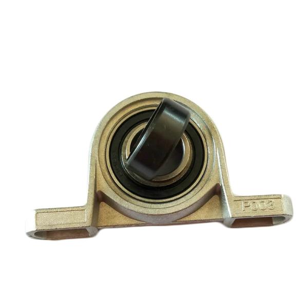 Waterproof Housing UCFL205 White Plastic Pillow Block Bearing FL205