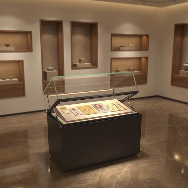 Metal Glass Counter Display Case 360° View Museum Glass Display Cabinet