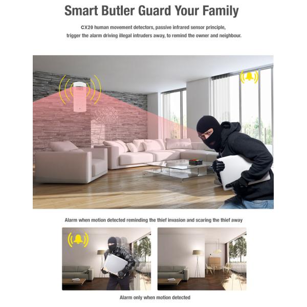 Indoor Motion Sensor Activated Detector Alarms with Two Types Power Supplies Design