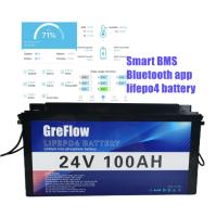Ciclo profundo Lifepo4 Marine Battery 24v 100Ah del poder de Smart BMS Bluetooth App Energy para el barco