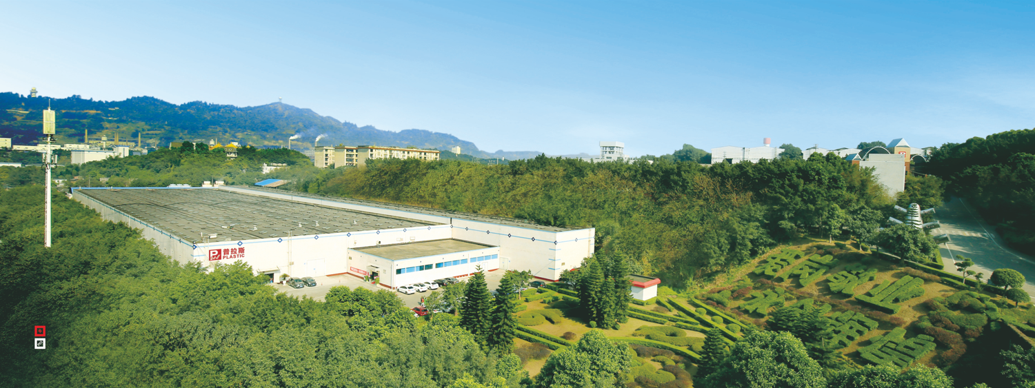 Environmentally Friendly Low Carbon High Temperature PET Buffet Plate Size L