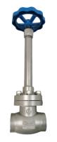 Handwheel Operation Cryogenic Long Shaft Globe Valve(stainless steel nut) Made In China