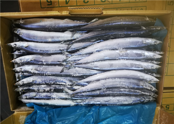 Морепродукты рыб 90g 100g сайры влаги 3% свежие замороженные