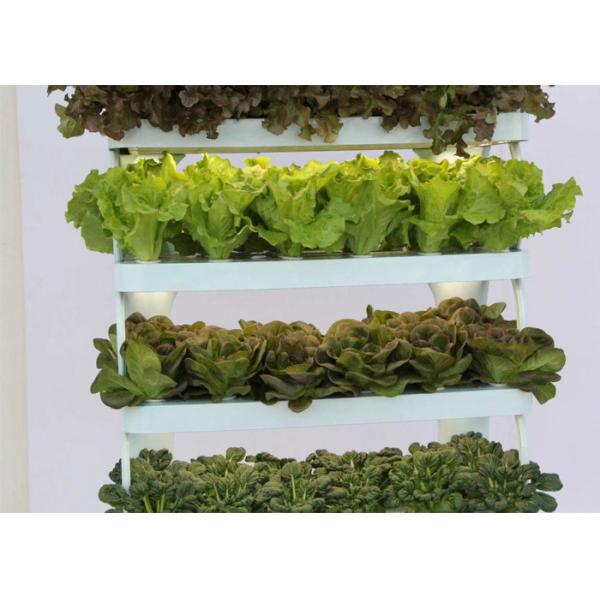 Health Home Garden Smart Hydroponics System , NFT Hydroponic System With