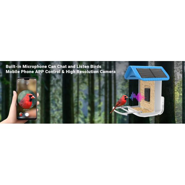 Интеллектуальная кормушка для птиц с распознаванием AI Smart Garden Кормушка для птиц с обнаружением AI Камера на солнечной панели