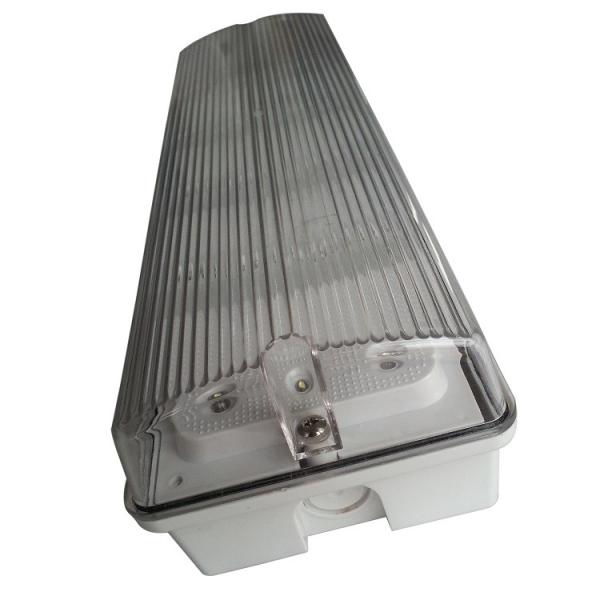 IP65 Waterproof Emergency Light Maintained Non Maintained 220V 240V 50Hz 60Hz Model EL015AM