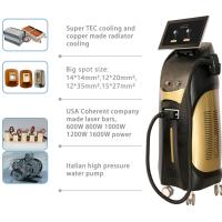 Máquina de remoção de cabelo a laser de salão OEM Diodo 808 Máquina a laser Inglês Línguas opcional