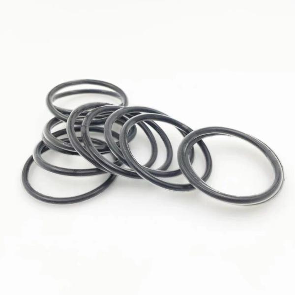 Chemically Resistant Encapsulated O Ring