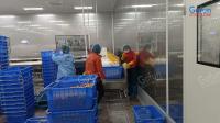Ligne automatique de transformation du jus d'orange Ensemble complet multifonctionnel de machines pour les usines de transformation des produits agricoles
