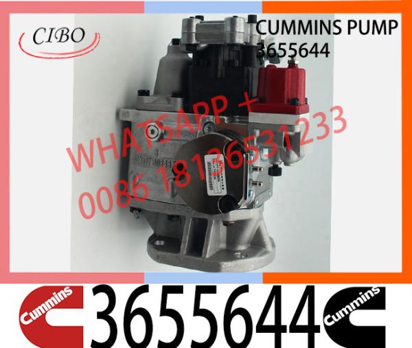 Cummins NTA855 Engine Parts Injection Fuel Pump 3655644