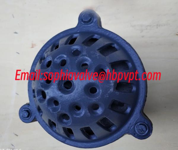4 INCH GG20 BS21 PN16 cast iron foot valve factory located in Xingtai
