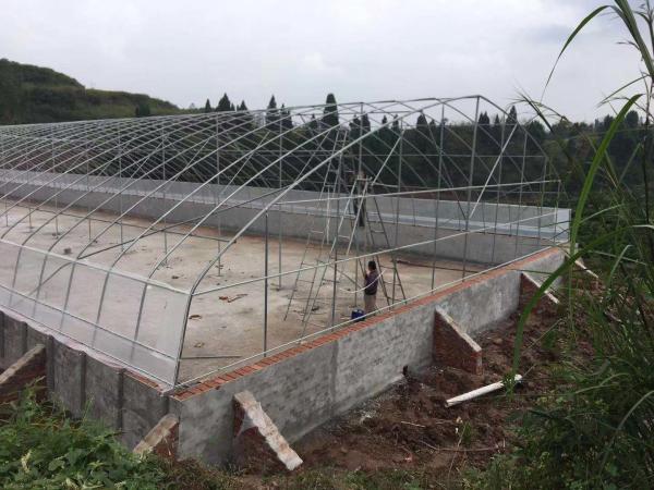 Serres chaudes multi d'envergure de double de voûte de polyéthylène de pellicule agriculture de serre chaude