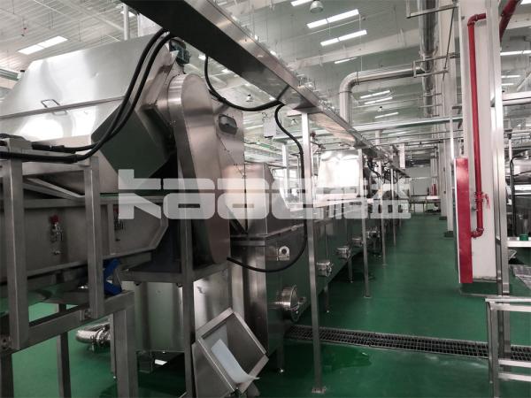 Nuts Ginger Conveyor Dryer Machine Fish Chilli Dryer Machine
