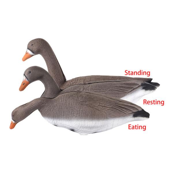 XPE Brown Real Life Canada Goose Decoys For Outdoor Hunting Accessories