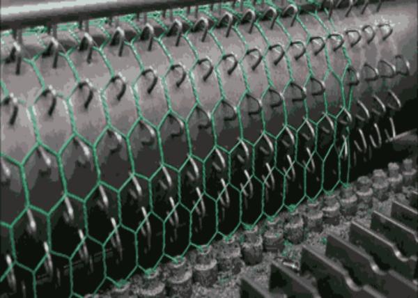 Plastic Coated Chicken Wire Mesh , Chicken Wire Poultry Netting