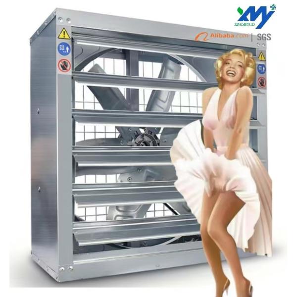 Negative Pressure Cooling Equipment Greenhouse 1000 Cfm 5000 Cfm 50 Inch Exhaust Fan