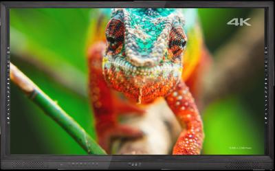 Quality first Service most, price best interactive display exchange your idea! 75 MolyTouch LCD touch screen monitor