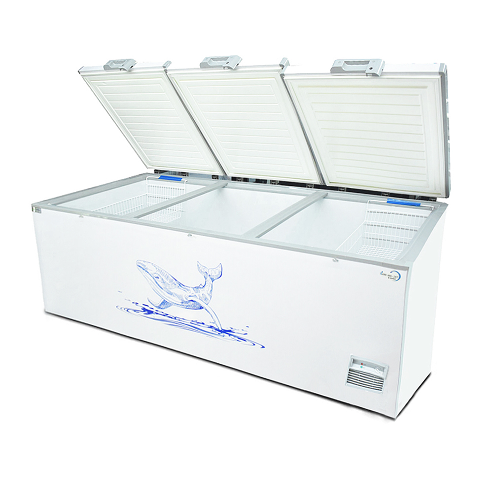 Commercial Freezer with Large Capacity Direct Cooling and R290a Refrigerant for Efficient Refrigeration