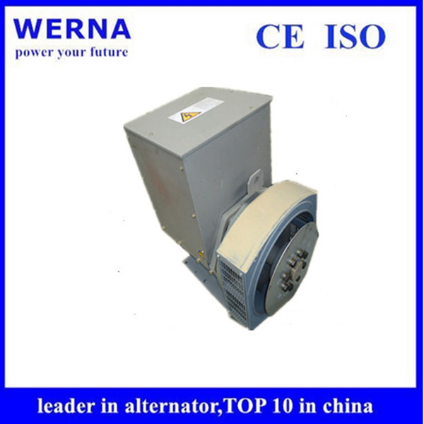 IP22 Protection Single Phase Diesel Generator with Brushless Excitation and 15 Liter Fuel Tank for Reliable Power