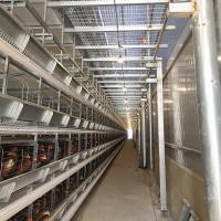 Type cage de poulet, poulet de 144 oiseaux H de Q235A HDG étendant la cage d'oeufs