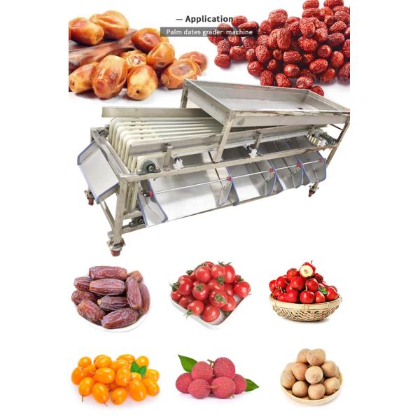 Good Performance Passion Fruit Grading Machine for Fruit Processing Requirements