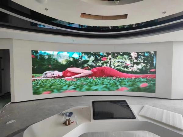 Other Media Indoor Acr LED Display with Full Color Tube Chip