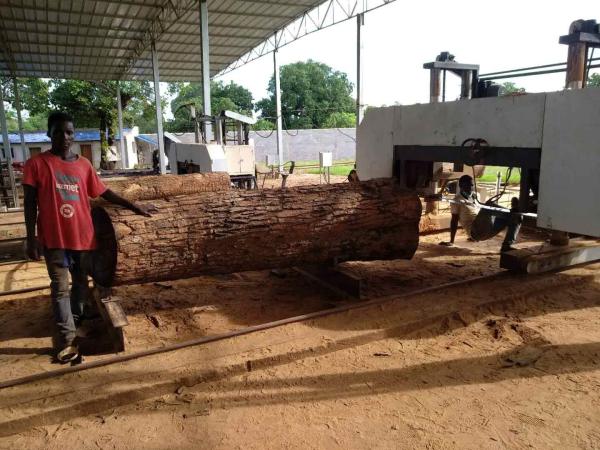 A faixa 55kw horizontal diesel viu cortando logs com alimentação do inversor