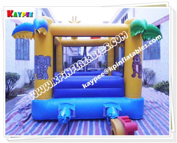 Inflatable Mini Bouncer