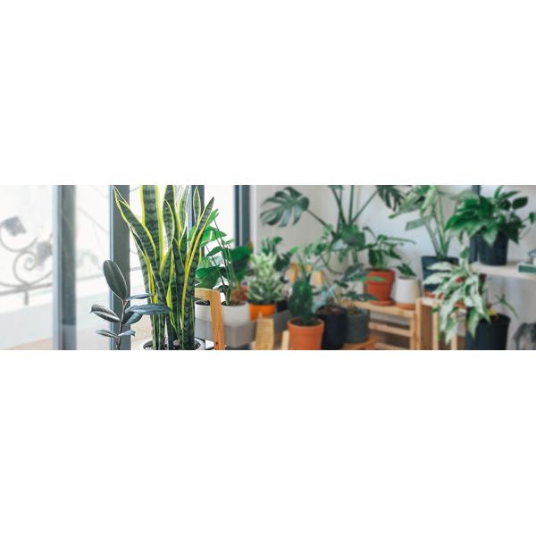 Artificial Snake Plant 26 inches Fake Sansevieria Artificial Potted Plants for Indoor and Outdoor, Home, Office