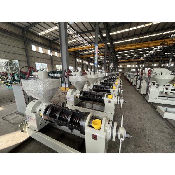 Coconut Automatic Screw Oil Press Machine High Quality Peanut Oil Extrator Cold Press