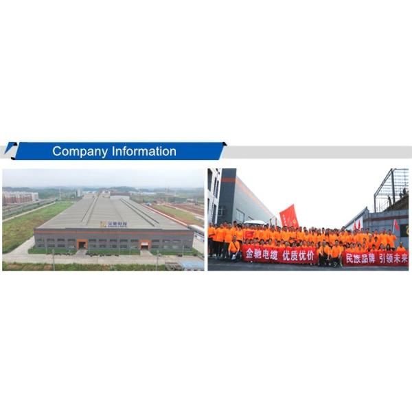 250°C High Temperature Resistance 6 8 10 12 Gauge PTFE Insulated Wire with 600V Rated Voltage for Aircraft Wiring