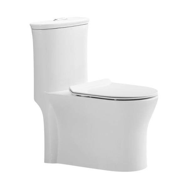 Dual-Flush Water Saving One Piece Toilet White Ceramic
