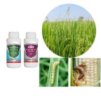 Producto original de maíz Plaguicidas para cultivos Insecticida Emamectina benzoato y Bt y clorfenapir SC