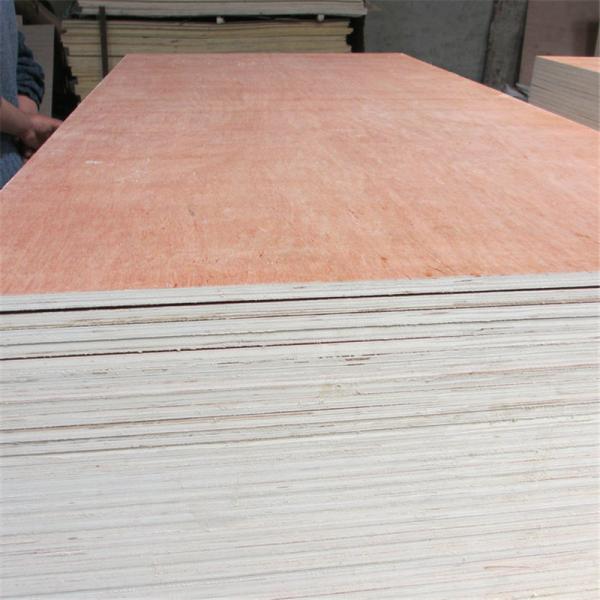 Bintangor Face Back Eucalyptus Core 5 ply Bintangor Plywood