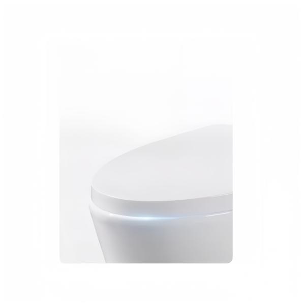 Slowly Seat Cover Dual-Flush Washdown One Piece White Ceramic Toilet with High Durability
