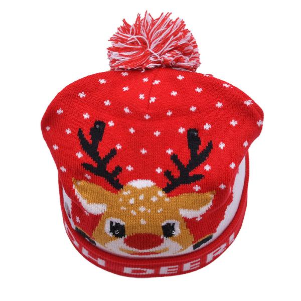 Chapéus de chapéu de inverno unisex com padrão de bordado para a estação fria