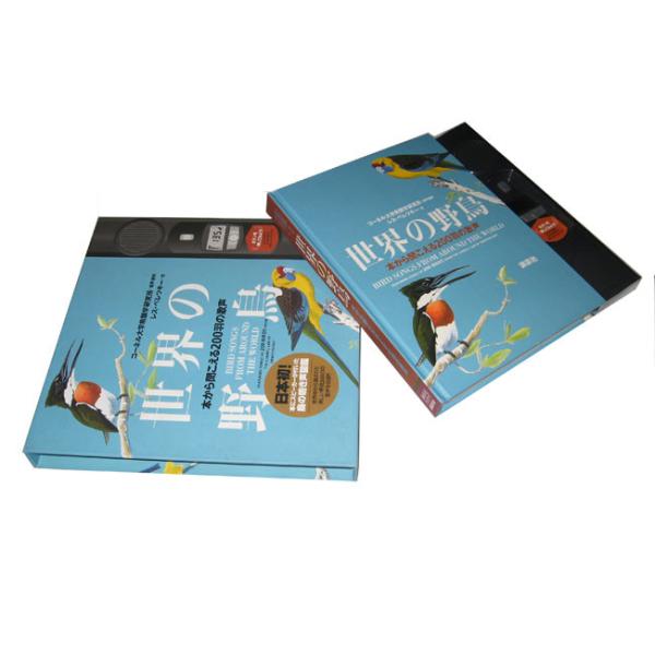 200pp Custom Book Offset Printing Services Hardcover Magazine Catalogue Matte Lamination