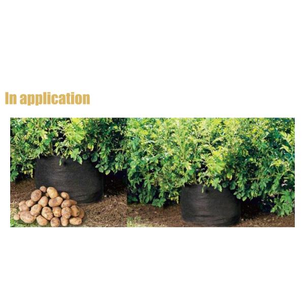 15 / 20 Gallon Long Life Time Fabric Grow Bags , Black Plastic Bag For Plants