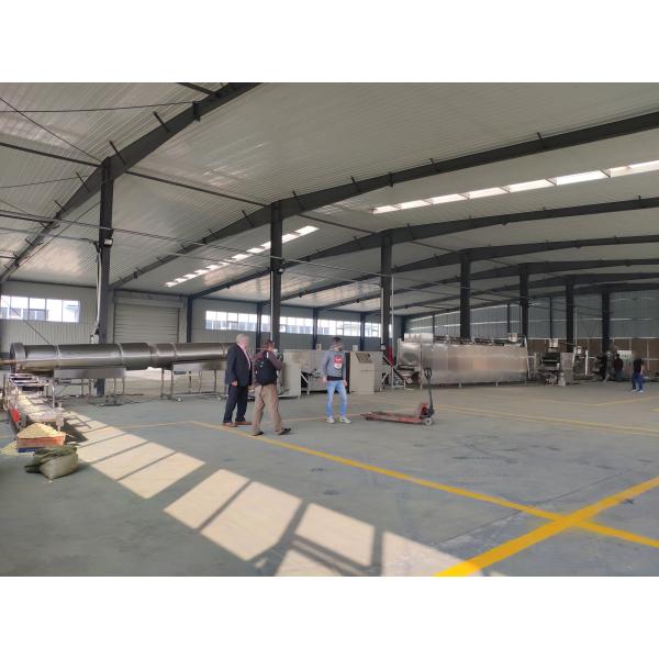 Línea de transformación curruscante de las avenas del cereal de Kellog/cadena de producción de las avenas