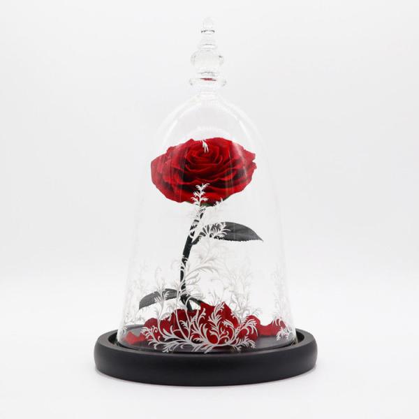 Dried Beauty And The Beast Red Rose In Glass Gift Suitable For Decor Purposes