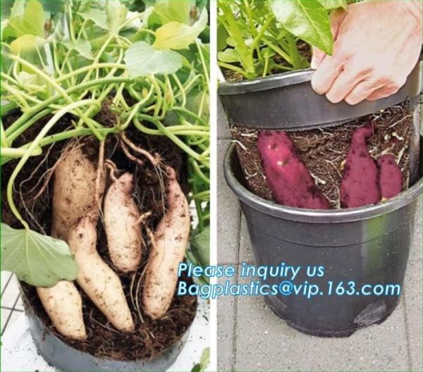 potato plant pot with plastic material,planting pots potato basin, Hydroponic vertical growing systems PP plant flower